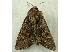  ( - RWWA-1012)  @13 [ ] Copyright (2010) Unspecified Unspecified