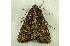  ( - RWWA-1022)  @14 [ ] Copyright (2010) Unspecified Unspecified
