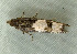  ( - RWWA-1026)  @12 [ ] Copyright (2010) Unspecified Unspecified
