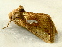  ( - RWWA-1056)  @12 [ ] Copyright (2010) Unspecified Unspecified