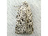  ( - RWWA-1064)  @13 [ ] Copyright (2010) Unspecified Unspecified