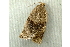  ( - RWWA-1088)  @12 [ ] Copyright (2010) Unspecified Unspecified