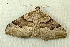  ( - RWWA-1123)  @13 [ ] Copyright (2010) Unspecified Unspecified