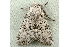  ( - RWWA-1183)  @11 [ ] Copyright (2010) Unspecified Unspecified