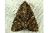  ( - RWWA-1203)  @13 [ ] Copyright (2010) Unspecified Unspecified