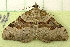  ( - RWWA-1214)  @13 [ ] Copyright (2010) Unspecified Unspecified
