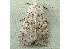  ( - RWWA-1216)  @13 [ ] Copyright (2010) Unspecified Unspecified