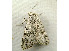  ( - RWWA-1223)  @13 [ ] Copyright (2010) Unspecified Unspecified