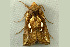  ( - RWWA-1316)  @12 [ ] CreativeCommons - Attribution (2009) Unspecified Centre for Biodiversity Genomics