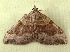  ( - RWWA-1353)  @13 [ ] CreativeCommons - Attribution (2009) Unspecified Centre for Biodiversity Genomics