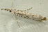  ( - RWWA-1384)  @12 [ ] CreativeCommons - Attribution (2009) Unspecified Centre for Biodiversity Genomics