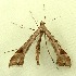  ( - RWWA-1437)  @13 [ ] Copyright (2010) Unspecified Unspecified