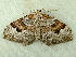 ( - RWWA-1645)  @13 [ ] CreativeCommons - Attribution Non-Commercial Share-Alike (2010) Richard Wilson 2010 Unspecified