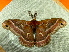  ( - RWWA-1648)  @12 [ ] CreativeCommons - Attribution Non-Commercial Share-Alike (2010) Richard Wilson 2010 Unspecified