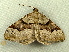  ( - RWWA-1650)  @13 [ ] CreativeCommons - Attribution Non-Commercial Share-Alike (2010) Richard Wilson 2010 Unspecified