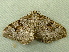 ( - RWWA-1674)  @13 [ ] CreativeCommons - Attribution Non-Commercial Share-Alike (2010) Richard Wilson 2010 Unspecified