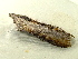  ( - RWWA-1791)  @12 [ ] CreativeCommons - Attribution Non-Commercial Share-Alike (2010) Unspecified Unspecified