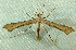 ( - BIOUG07834-C08)  @14 [ ] CreativeCommons - Attribution (2013) CBG Photography Group Centre for Biodiversity Genomics