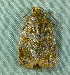  ( - BIOUG07834-F12)  @12 [ ] CreativeCommons - Attribution (2013) CBG Photography Group Centre for Biodiversity Genomics