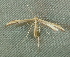  ( - BIOUG07834-H01)  @13 [ ] CreativeCommons - Attribution (2013) CBG Photography Group Centre for Biodiversity Genomics