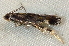  ( - BIOUG09751-A04)  @12 [ ] CreativeCommons - Attribution (2014) CBG Photography Group Centre for Biodiversity Genomics