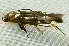  ( - BIOUG09751-D07)  @12 [ ] CreativeCommons - Attribution (2014) CBG Photography Group Centre for Biodiversity Genomics