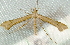  ( - BIOUG09751-E02)  @14 [ ] CreativeCommons - Attribution (2014) CBG Photography Group Centre for Biodiversity Genomics