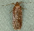  ( - BIOUG09751-H02)  @12 [ ] CreativeCommons - Attribution (2014) CBG Photography Group Centre for Biodiversity Genomics