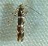  ( - BIOUG17691-G02)  @12 [ ] CreativeCommons - Attribution Non-Commercial Share-Alike (2014) Richard Wilson Unspecified