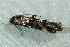  ( - BIOUG17692-D04)  @12 [ ] CreativeCommons - Attribution Non-Commercial Share-Alike (2014) Richard Wilson Unspecified