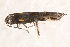  ( - BIOUG17692-D04)  @12 [ ] CreativeCommons - Attribution (2014) CBG Photography Group Centre for Biodiversity Genomics