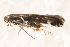 ( - BIOUG17692-D05)  @12 [ ] CreativeCommons - Attribution (2014) CBG Photography Group Centre for Biodiversity Genomics