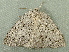  ( - RWWA-2011)  @11 [ ] CreativeCommons - Attribution Non-Commercial Share-Alike (2010) Richard Wilson Unspecified
