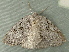  ( - RWWA-2042)  @12 [ ] CreativeCommons - Attribution Non-Commercial Share-Alike (2010) Richard Wilson Unspecified