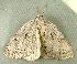  ( - RWWA-2046)  @11 [ ] CreativeCommons - Attribution Non-Commercial Share-Alike (2010) Richard Wilson Unspecified