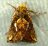  ( - RWWA-2058)  @12 [ ] CreativeCommons - Attribution Non-Commercial Share-Alike (2010) Richard Wilson Unspecified