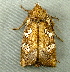  ( - RWWA-2072)  @12 [ ] CreativeCommons - Attribution Non-Commercial Share-Alike (2010) Richard Wilson Unspecified