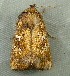  ( - RWWA-2076)  @12 [ ] CreativeCommons - Attribution Non-Commercial Share-Alike (2010) Richard Wilson Unspecified