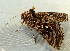  ( - RWWA-2227)  @12 [ ] CreativeCommons - Attribution Non-Commercial Share-Alike (2011) Richard Wilson Unspecified