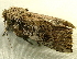  ( - RWWA-2248)  @13 [ ] CreativeCommons - Attribution Non-Commercial Share-Alike (2011) Richard Wilson Unspecified