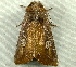  ( - RWWA-2260)  @13 [ ] CreativeCommons - Attribution Non-Commercial Share-Alike (2011) Richard Wilson Unspecified