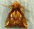  ( - RWWA-2285)  @12 [ ] CreativeCommons - Attribution Non-Commercial Share-Alike (2011) Richard Wilson Unspecified
