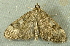  ( - RWWA-2290)  @13 [ ] CreativeCommons - Attribution Non-Commercial Share-Alike (2011) Richard Wilson Unspecified