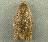  ( - RWWA-2641)  @12 [ ] CreativeCommons - Attribution Non-Commercial Share-Alike (2011) Richard Wilson Unspecified