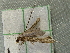  ( - RWWA-2647)  @13 [ ] CreativeCommons - Attribution Non-Commercial Share-Alike (2011) Richard Wilson Unspecified