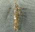  ( - RWWA-2652)  @12 [ ] CreativeCommons - Attribution Non-Commercial Share-Alike (2011) Richard Wilson Unspecified