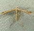  ( - RWWA-2676)  @14 [ ] CreativeCommons - Attribution Non-Commercial Share-Alike (2011) Richard Wilson Unspecified