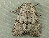  ( - RWWA-2684)  @13 [ ] CreativeCommons - Attribution Non-Commercial Share-Alike (2011) Richard Wilson Unspecified