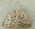  ( - RWWA-2722)  @12 [ ] CreativeCommons - Attribution (2012) CBG Photography Group Centre for Biodiversity Genomics