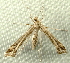  ( - RWWA-2726)  @14 [ ] CreativeCommons - Attribution (2012) CBG Photography Group Centre for Biodiversity Genomics